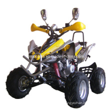 Big Size 110cc ATV with 2 Mirror (ET-ATV008)